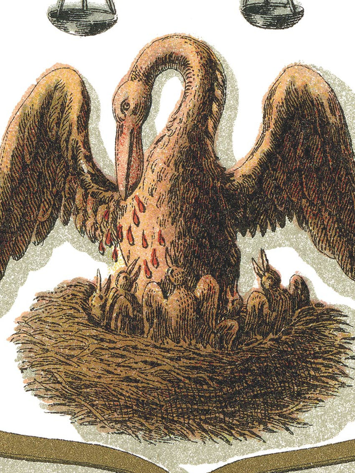 Louisiana Arms