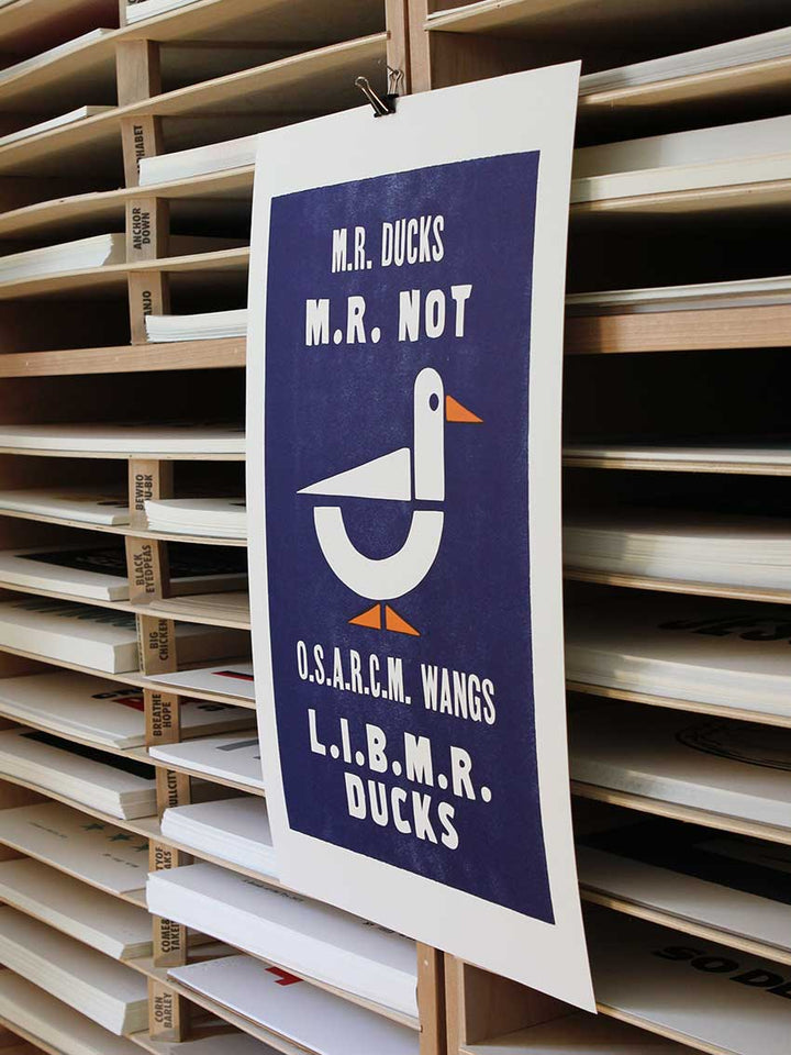 M.R. Ducks