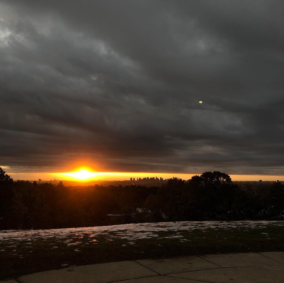 The sun also rises