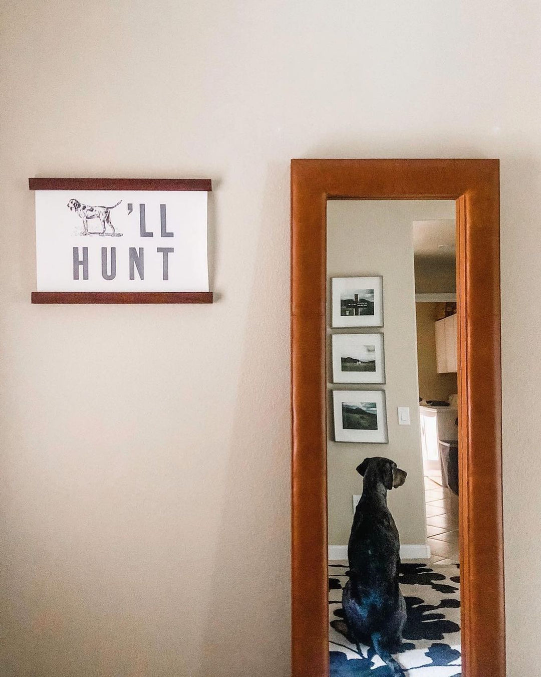 Did ya know dogs can’t...