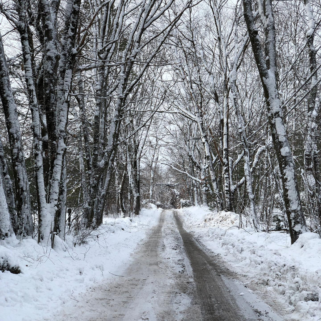 Country road, take me home....
