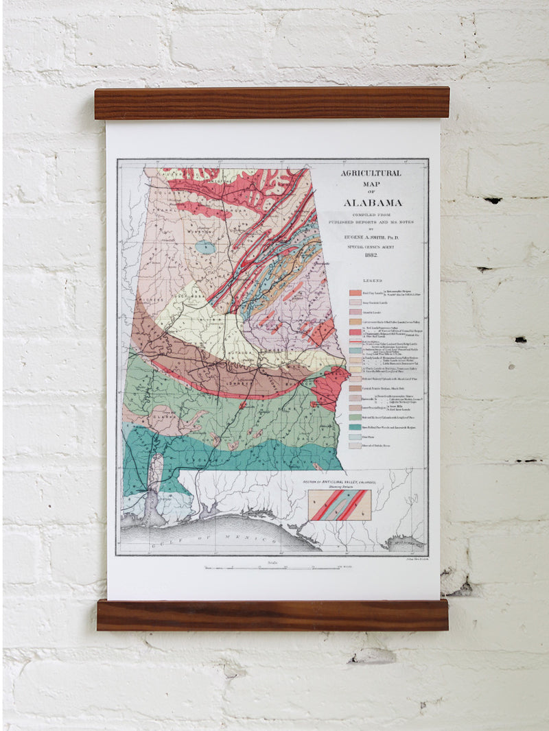 1882 Alabama Agricultural Map