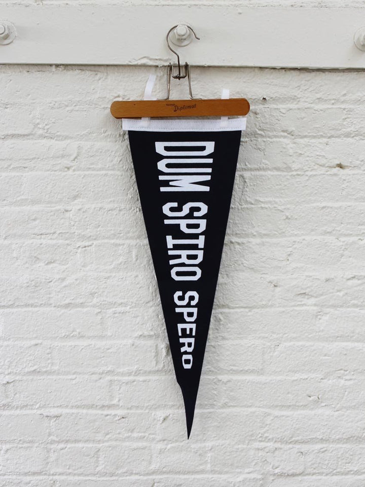 Dum Spiro Spero - Old Try