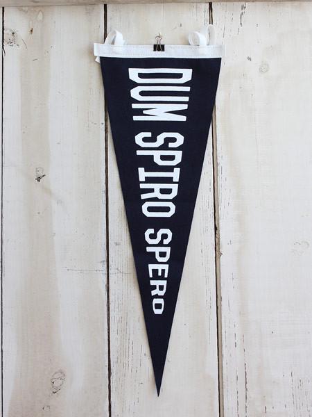 Dum Spiro Spero - Old Try