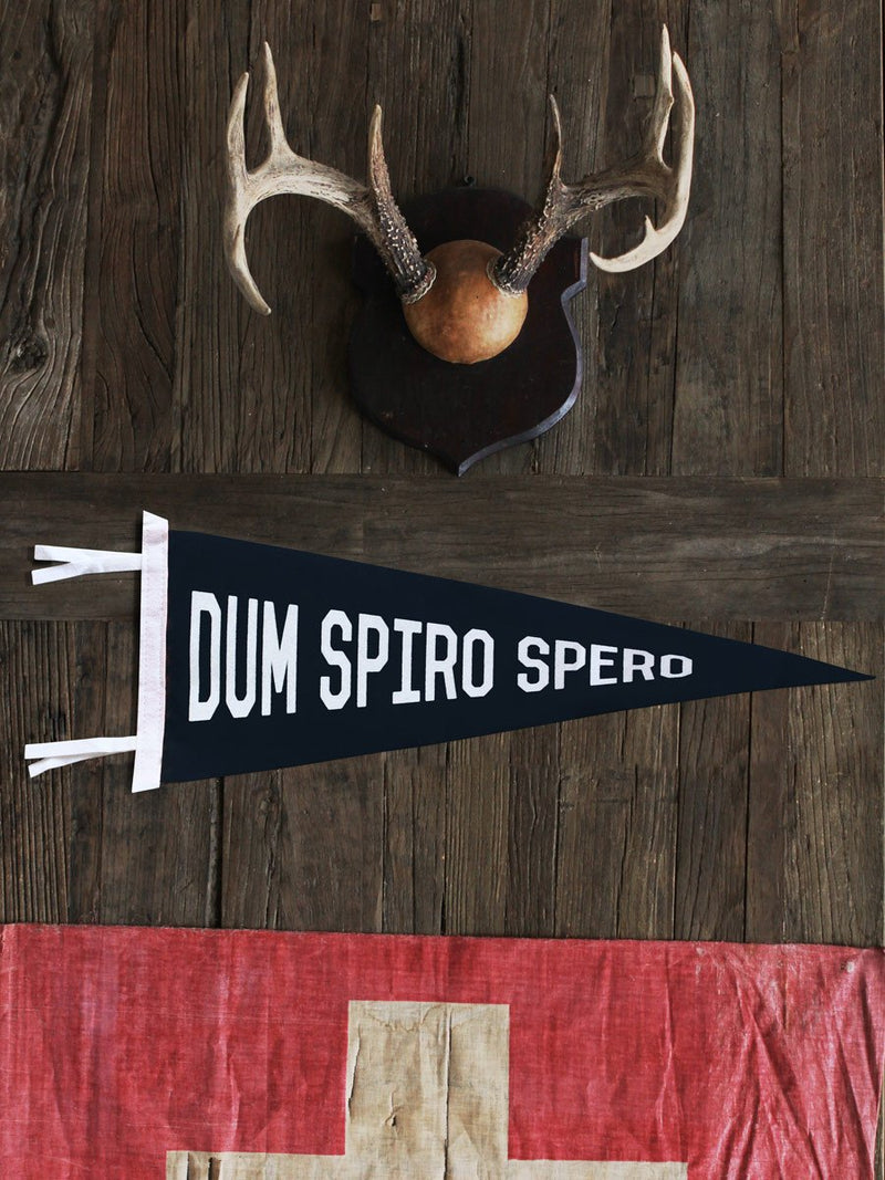 Dum Spiro Spero - Old Try