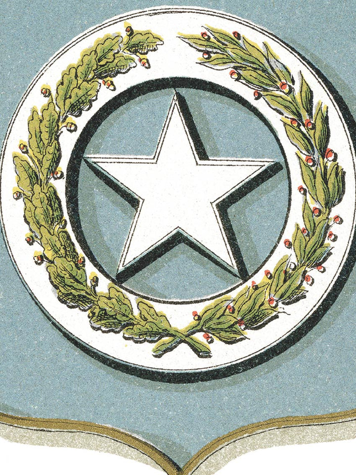 Texas Arms